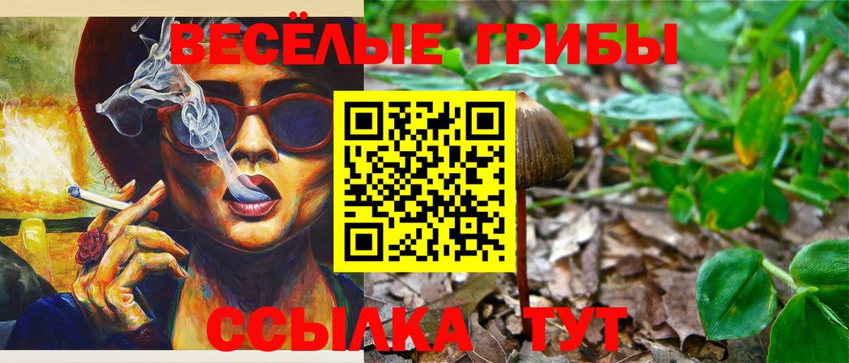 Псилоцибиновые грибы мухоморы  Вход с VPN  Кострома 