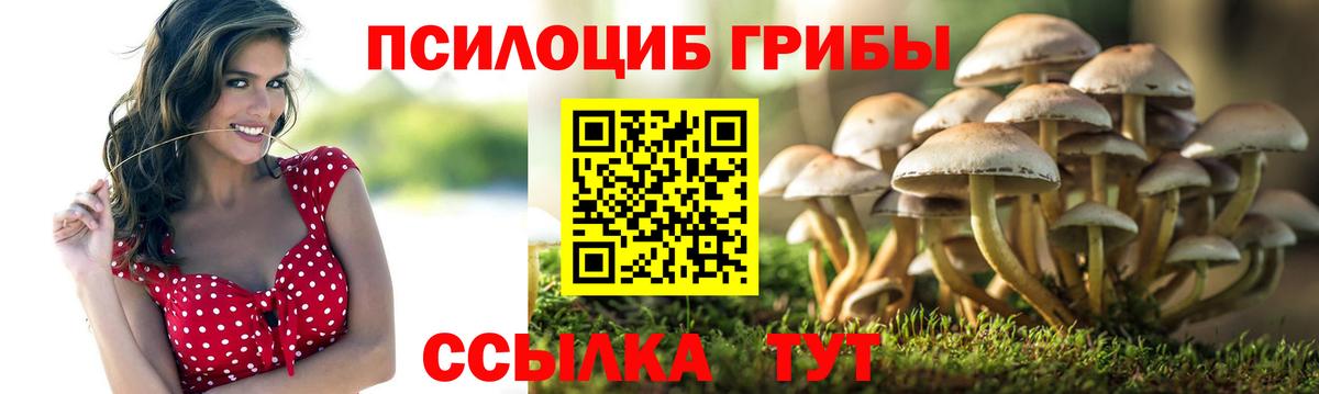 Псилоцибиновые грибы Cubensis Кострома